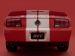 Shelby Shelby Cobra GT500 Picture #84